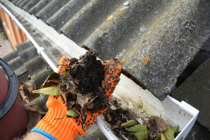 Commercial Gutter Maintenance in Littleton, CO