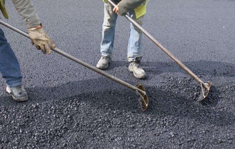 Asphalt Driveway Cleaning