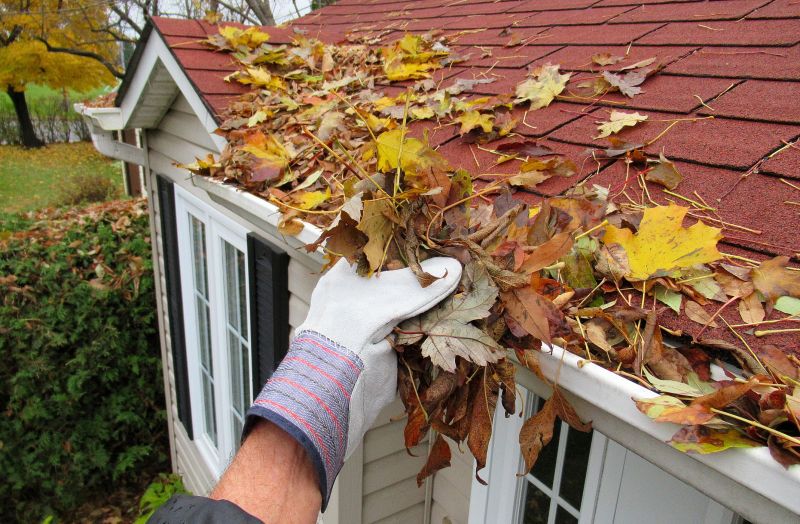 Downspout Cleaning in Monmouth County, NJ