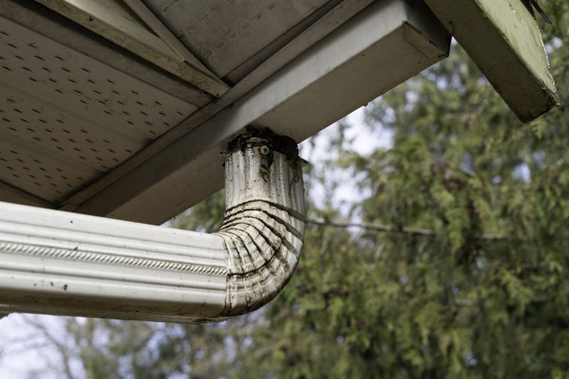 Eavestrough Clearing in Baltimore, MD