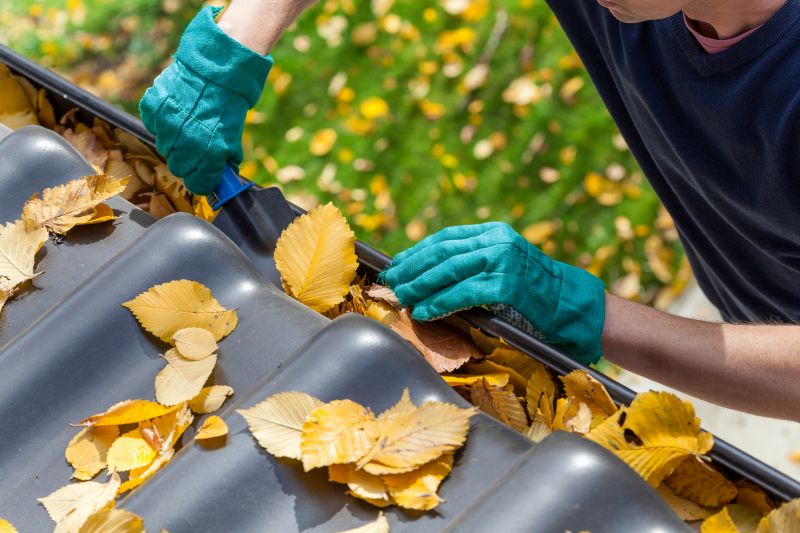 Gutter Leaves Removal in Annapolis, MD