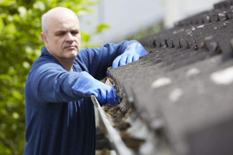 Gutter Maintenance in Longmont, CO
