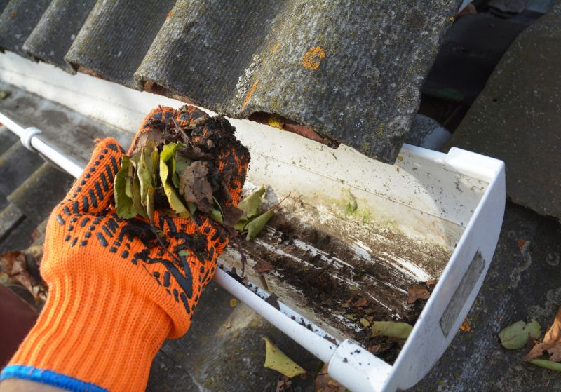Roof Gutter Cleaning in Boulder, CO