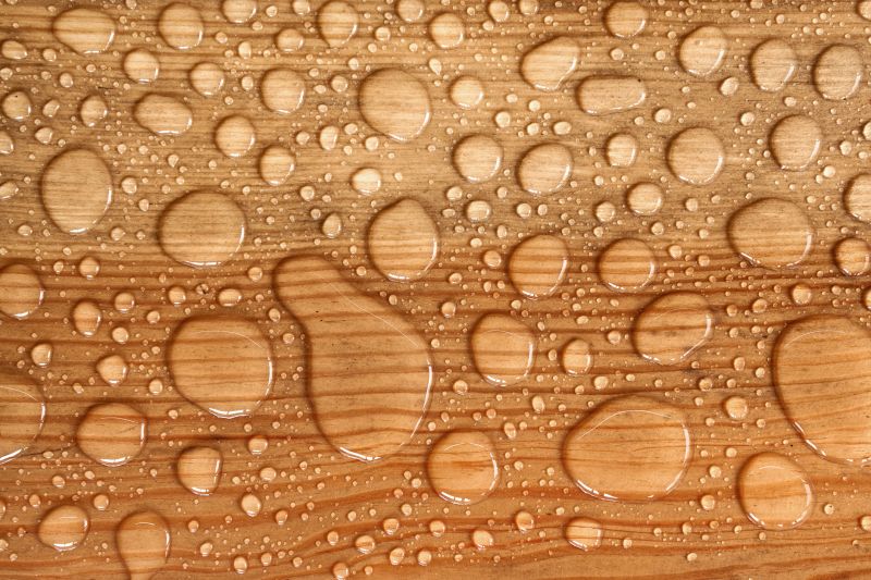 Wood Waterproofing in Redmond, WA