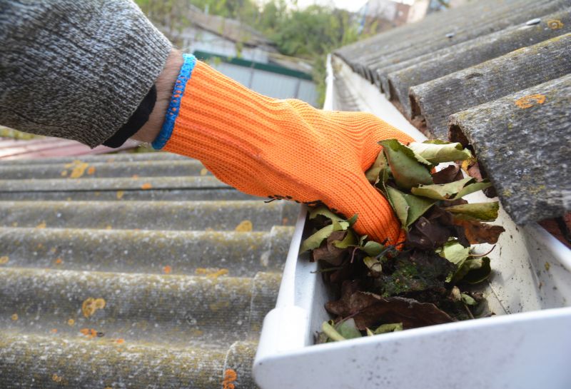 Roof Gutter Cleaning in Longmont, CO